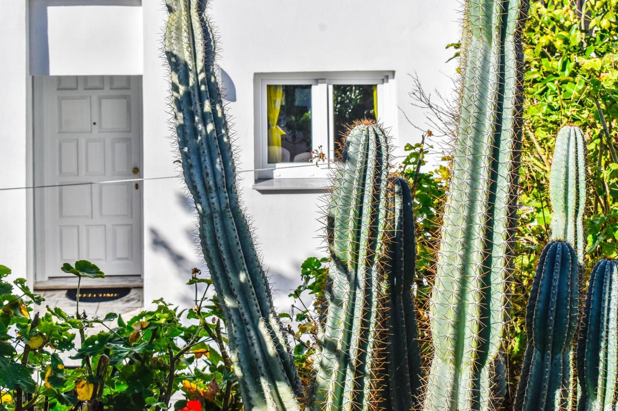Apartmán Nest View House Skiathos Exteriér fotografie